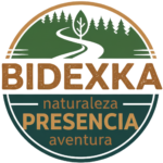 Bidexka logo