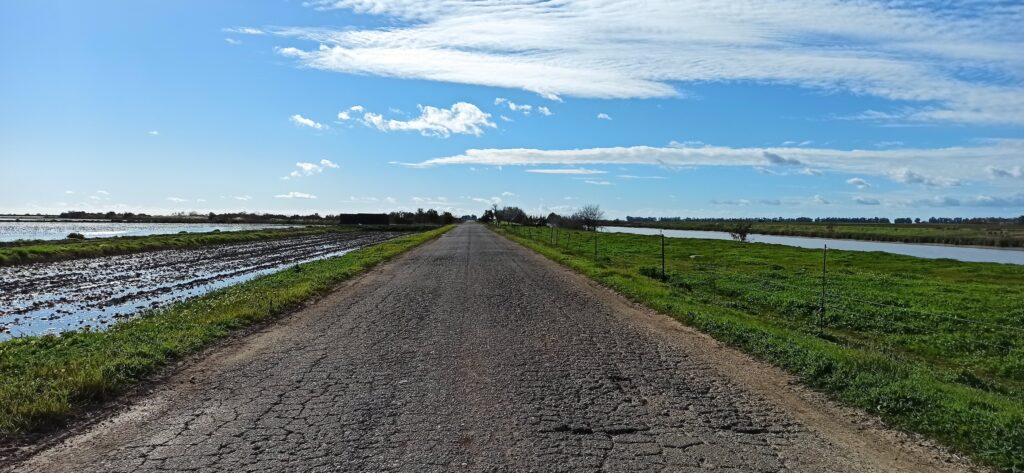 img 20210101 142800 copia