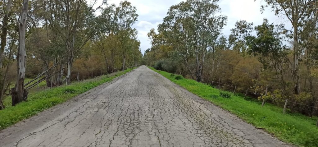 img 20210101 165207 copia